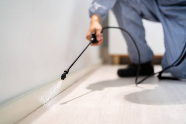 Bed Bug Pre-Treatment Preparation Assessment in Greensburg