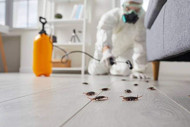 Post-Treatment Bed Bug Interceptor Monitoring in Greensburg